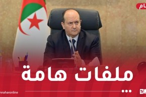 الوزير الأول يترأس اجتماعا للحكومة وهذه أهم الملفات