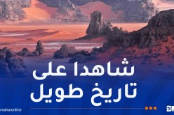 أوبك: “طاسيلي ناجر” يعتبر شاهدا فريدا على تاريخ طويل وحفظ الإرث الإنساني البيئي