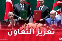 الرئيس تبون يشرف رفقة نظيره التركي على مراسم توقيع عدة إتفاقيات تعاون