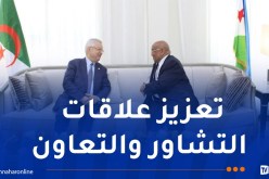 ناصري يسلّم رسالة من الرئيس تبون إلى رئيس جيبوتي