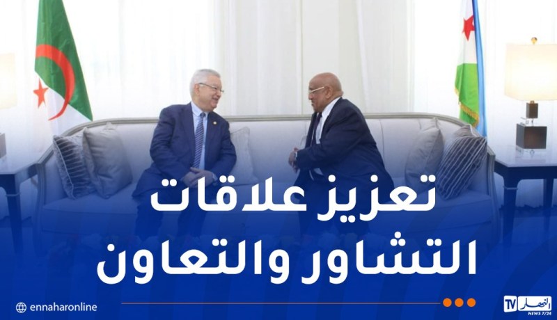 ناصري يسلّم رسالة من الرئيس تبون إلى رئيس جيبوتي