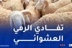 الوكالة الوطنية للنفايات تدعو إلى وضع جلود الأضاحي في الأماكن المخصصة لها