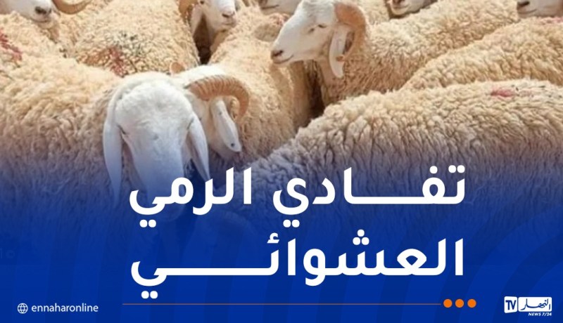 الوكالة الوطنية للنفايات تدعو إلى وضع جلود الأضاحي في الأماكن المخصصة لها
