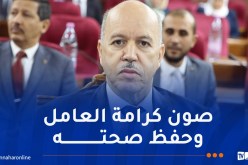 سايحي: تعزيز الصحة والسلامة المهنيتين وتكثيف الخرجات الميدانية لمراقبة ظروف العمل