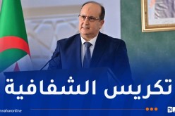 الوزير الأول: الإستثمار لا يتطور في فضاء منعزل.. تبسيط الإجراءات ضروري للمستثمر
