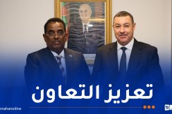 وزير الداخلية يتباحث سبل التعاون مع نظيره الصومالي