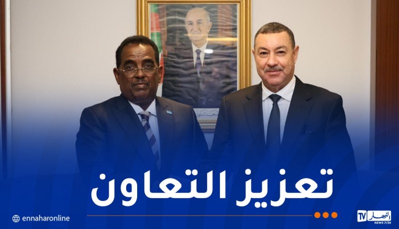 وزير الداخلية يتباحث سبل التعاون مع نظيره الصومالي