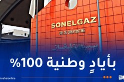 سونلغاز الدولية تعزز الحضور الجزائري بإفريقيا: محطة كهرباء بـ 40 ميغاواط في تشاد