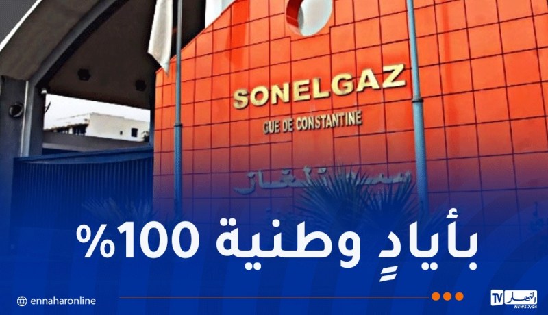 سونلغاز الدولية تعزز الحضور الجزائري بإفريقيا: محطة كهرباء بـ 40 ميغاواط في تشاد
