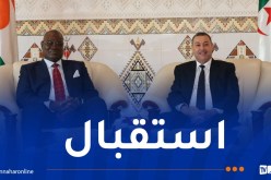 وزير الداخلية يستقبل نظيره من جمهورية النيجر