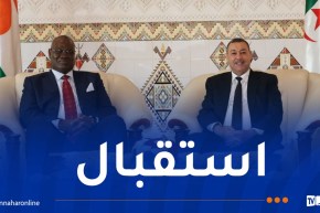 وزير الداخلية يستقبل نظيره من جمهورية النيجر