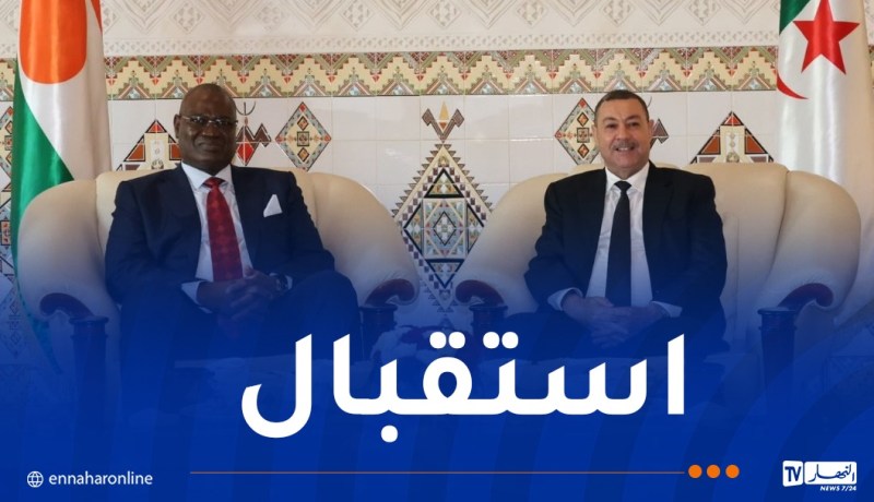 وزير الداخلية يستقبل نظيره من جمهورية النيجر