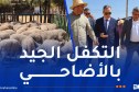 والي وهران يُعاين مراكز الحجر الصحي للأضاحي المستوردة