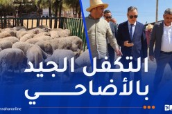 والي وهران يُعاين مراكز الحجر الصحي للأضاحي المستوردة