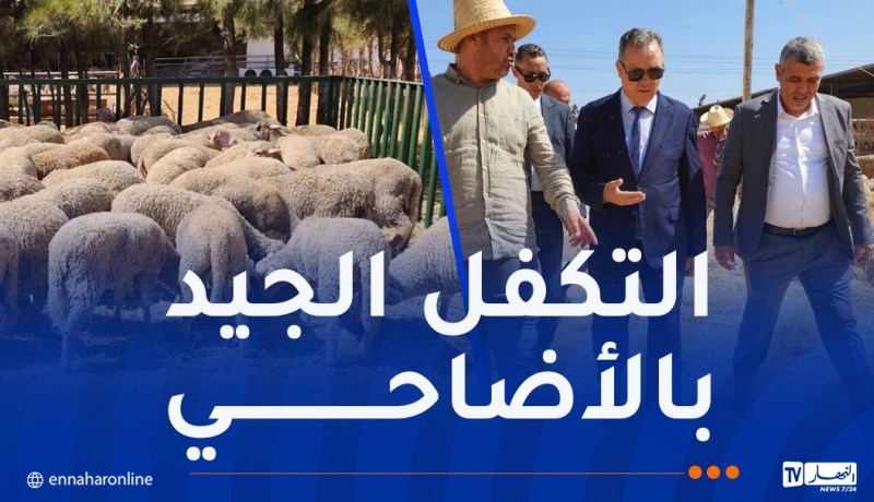والي وهران يُعاين مراكز الحجر الصحي للأضاحي المستوردة