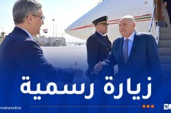 وزير الخارجية يحل بمصر في زيارة رسمية