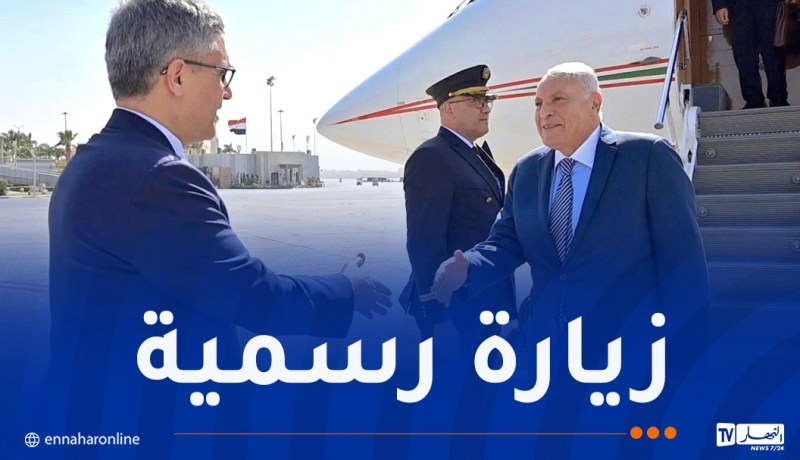 وزير الخارجية يحل بمصر في زيارة رسمية