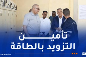 سونلغاز: تعزيز الشبكة الكهربائية وتأمين تزويد مستدام بالطاقة في الجنوب