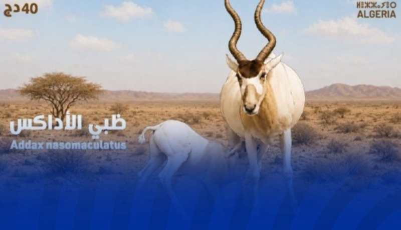 إصدار طابع بريدي جديد