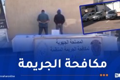 أمن وهران يطيح بشبكتين إجراميتين ويسترجع 13 مركبة مسروقة