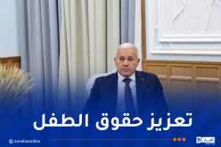 بوغالي: حماية الطفولة أولوية ثابتة في مسار بناء الجزائر المنتصرة