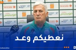 بيتكوفيتش: “هذا هو هدفنا في كأس العالم 2026”