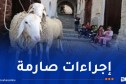 عيد الأضحى والصيف.. أوامر وزارية بضمان استمرارية التزويد بالمياه