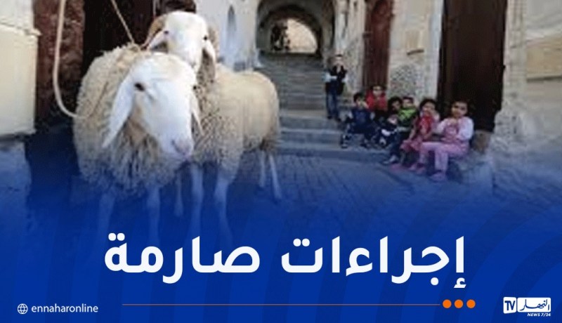 عيد الأضحى والصيف.. أوامر وزارية بضمان استمرارية التزويد بالمياه