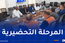 وفد جزائري رفيع يحلّ بتشاد لإطلاق مشروع إنجاز محطة لإنتاج الكهرباء 