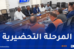 وفد جزائري رفيع يحلّ بتشاد لإطلاق مشروع إنجاز محطة لإنتاج الكهرباء 