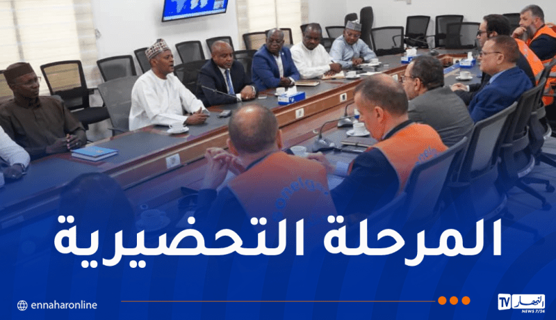 وفد جزائري رفيع يحلّ بتشاد لإطلاق مشروع إنجاز محطة لإنتاج الكهرباء 