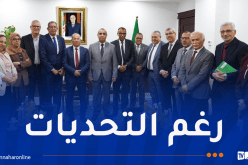 الجزائر تُؤكد مواصلة تصدير الكهرباء إلى تونس خلال الصيف