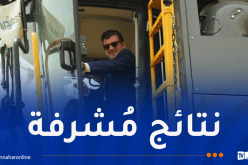 وزير الفلاحة يُشرف على انطلاق حملة حصاد الحبوب من تيميمون