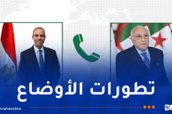 وزير الخارجية يتحادث مع نظيره المصري