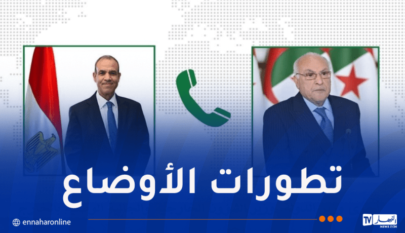 وزير الخارجية يتحادث مع نظيره المصري