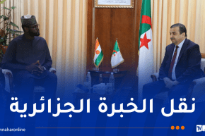 عرقاب يستقبل الأمين العام لوزارة البترول بالنيجر