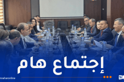 دراسة آليات توجيه الاستثمار نحو الشعب ذات فاتورة الاستيراد المرتفعة