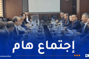 دراسة آليات توجيه الاستثمار نحو الشعب ذات فاتورة الاستيراد المرتفعة