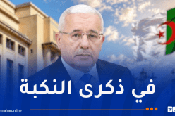 بوغالي يؤكد تمسك الجزائر الثابت بدعم القضية الفلسطينية