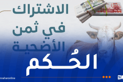 هذا هو حكم الاشتراك في ثمن الأضحية