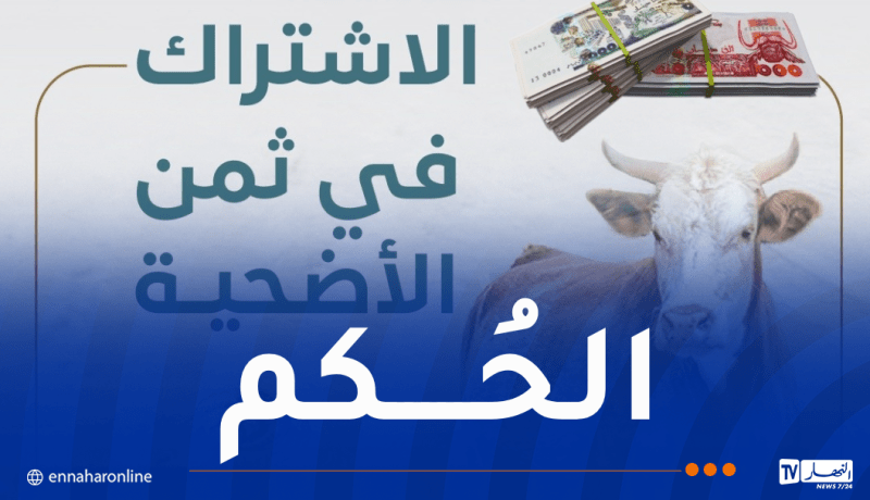 هذا هو حكم الاشتراك في ثمن الأضحية