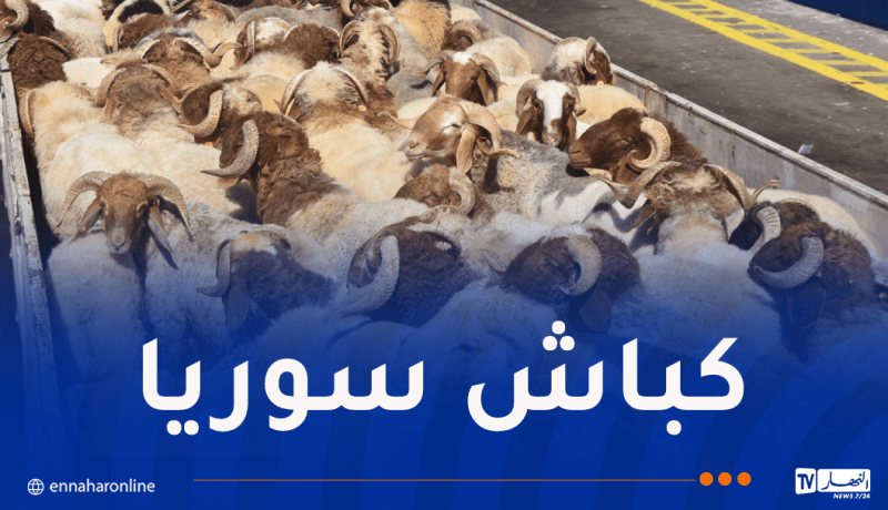 سفينة مُحملة بالأغنام ترسو بميناء عنابة