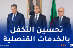 شايب يجتمع مع قناصلة جنوب أوروبا لتقييم التحضيرات للتشريعيات