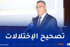 وزير الري يُؤكد على ضمان تزويد المواطنين بالمياه خاصة خلال العيد