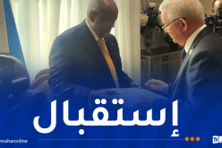 ناصري يُسلّم رسالة خطية من الرئيس تبون لنظيره الجيبوتي