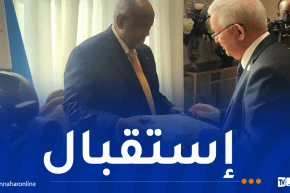 ناصري يُسلّم رسالة خطية من الرئيس تبون لنظيره الجيبوتي
