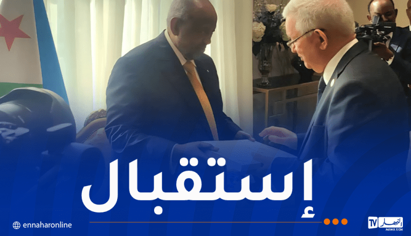 ناصري يُسلّم رسالة خطية من الرئيس تبون لنظيره الجيبوتي
