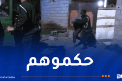 درك سطيف يُحبط عملية سرقة مواشي