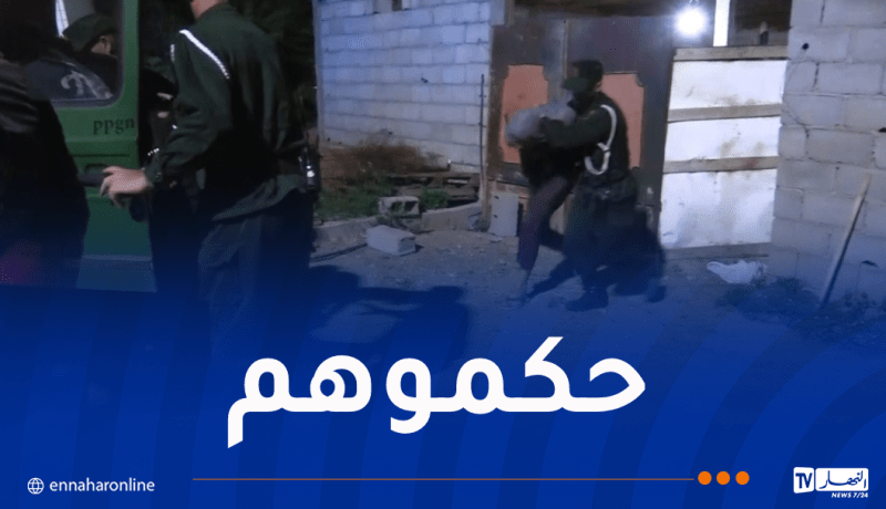 درك سطيف يُحبط عملية سرقة مواشي