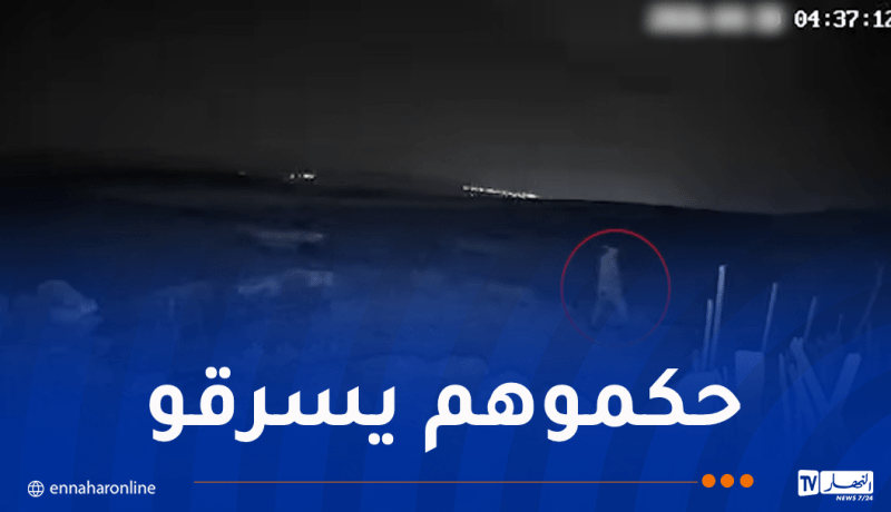 درك باتنة يضع حدا لعصابة إجرامية مختصة بسرقة المواشي